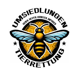 Biene auf Honigwabe, Imkerei, Bienenschutz, Umwelt.